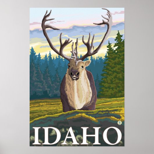 Caraïben in de Wilde - Idaho Poster (Voorkant)