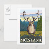 Caraïben in de Wilde - Montana Briefkaart (Voorkant / Achterkant)