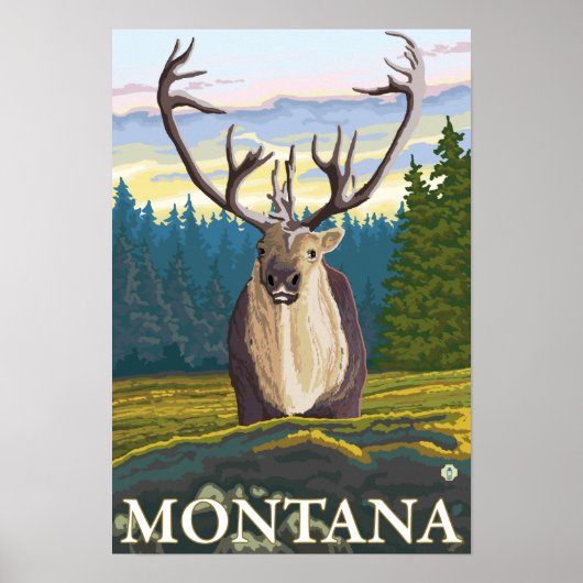 Caraïben in de Wilde - Montana Poster (Voorkant)