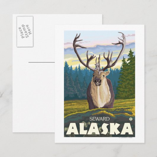 Caraïben in de Wilde - Seward, Alaska Briefkaart (Voorkant / Achterkant)