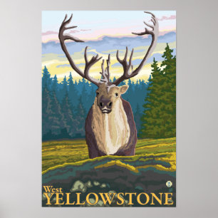 Caraïben in de Wilde - West-geelsteen, MT Poster