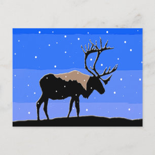 Caraïben in de winter - Oorspronkelijke natuurkuns Briefkaart