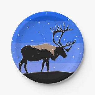 Caraïben in de winter - Oorspronkelijke natuurkuns Papieren Bordje