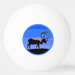 Caraïben in de winter - Oorspronkelijke natuurkuns Pingpongbal