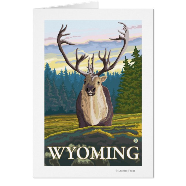 Caraïben in het wild - Wyoming (Voorkant)