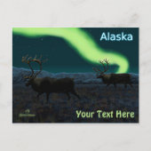 Caraïben - Long March Briefkaart (Voorkant)