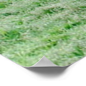 Caraïben met grote Antlers Poster (Hoek)