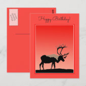 Caraïben op zonsondergang - Oorspronkelijke natuur Briefkaart (Voorkant / Achterkant)