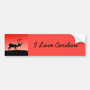 Caraïben op zonsondergang - Oorspronkelijke natuur Bumpersticker