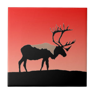 Caraïben op zonsondergang - Oorspronkelijke natuur Tegeltje