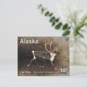 Caraïben (rendieren) - Alaska Postage Briefkaart (Staand voorkant)