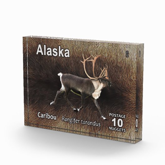 Caraïben (rendieren) - Alaska Postage Fotoblokken (Rechts)