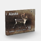 Caraïben (rendieren) - Alaska Postage Fotoblokken (Links)