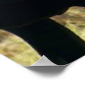 Caraïben/rendierwildloop Poster (Hoek)