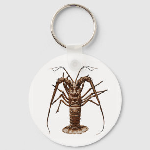 Caraïben Spiny Lobster Sleutelhanger
