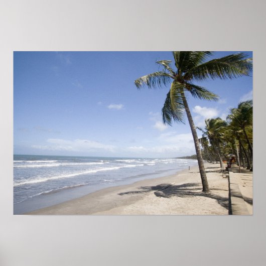Caraïben - strand van Trinidad - Manzanilla op 2 Poster (Voorkant)