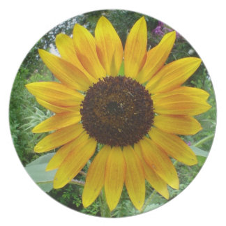 Caraïben Sun Flower Melamine+bord