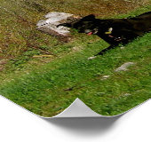 Caraïben-Targhee National Forest Camping Photo Poster (Hoek)