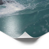 Caraïben, tuimelaars foto afdruk (Hoek)