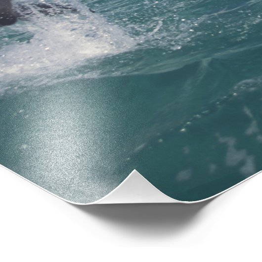 Caraïben, tuimelaars foto afdruk (Hoek)