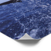 Caraïben, tuindolfijnen in het Caribisch gebied 7 Poster (Hoek)