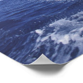 Caraïben, tuindolfijnen in het Caribisch gebied, T Poster (Hoek)