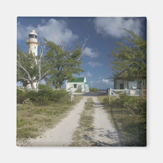 Caraïben, TURKS & CAICOS, Grand Turk Island, 3 Magneet (Voorkant)
