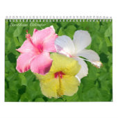 Caraïben Wall Agenda Kalender (Hoes)