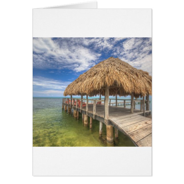 Caraïbisch dock (Voorkant)