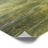 Caraïbisch dock poster (Hoek)