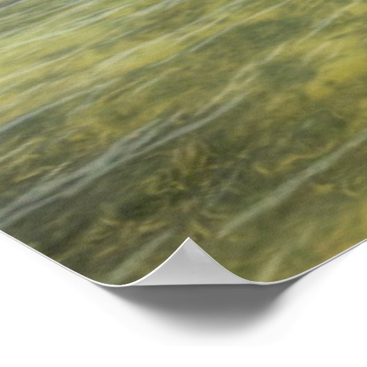 Caraïbisch dock poster (Hoek)