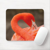 Caraïbisch flamingo muismat (Met muis)