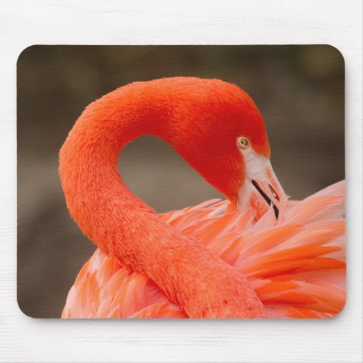 Caraïbisch flamingo muismat (Voorkant)