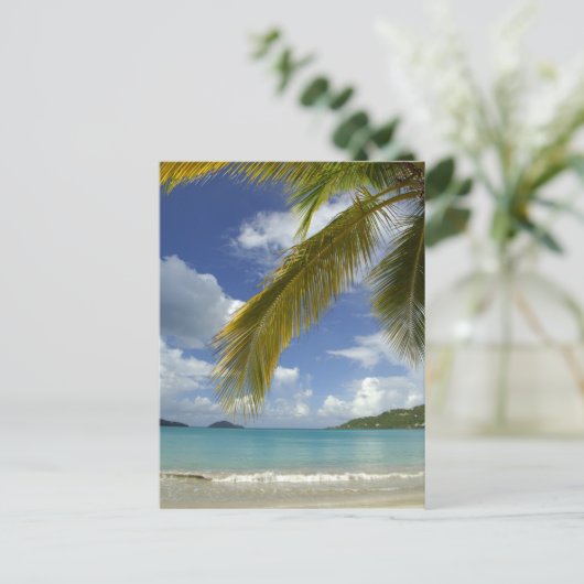 Caraïbisch gebied, Amerikaanse Maagdeneilanden, St Briefkaart (Staand voorkant)