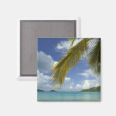 Caraïbisch gebied, Amerikaanse Maagdeneilanden, St Magneet (Voorkant / Achterkant)