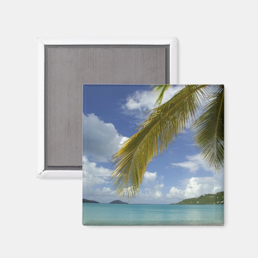 Caraïbisch gebied, Amerikaanse Maagdeneilanden, St Magneet (Voorkant / Achterkant)