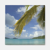 Caraïbisch gebied, Amerikaanse Maagdeneilanden, St Magneet (Voorkant)