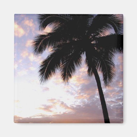 Caraïbisch gebied, Amerikaanse Maagdeneilanden, St Magneet (Voorkant)