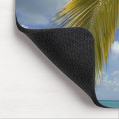 Caraïbisch gebied, Amerikaanse Maagdeneilanden, St Muismat (Hoek)