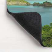 Caraïbisch gebied, Amerikaanse Maagdeneilanden, St Muismat (Hoek)