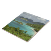 Caraïbisch gebied, Amerikaanse Maagdeneilanden, St Tegeltje (Zijkant)