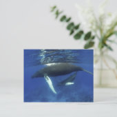 Caraïbisch gebied, Antillen archipel, Groot-Britta Briefkaart (Staand voorkant)