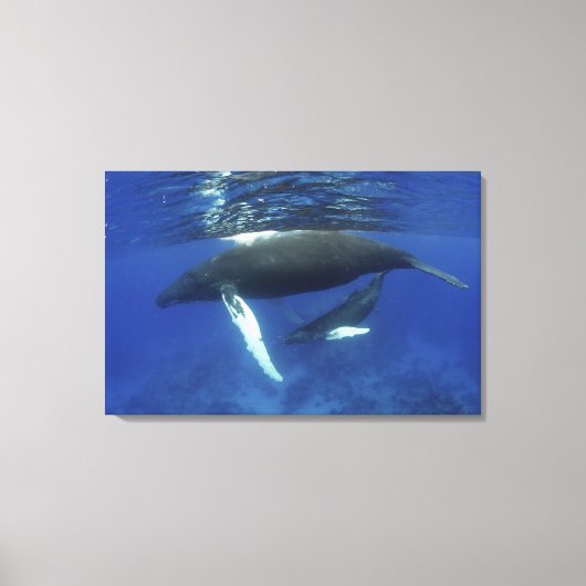 Caraïbisch gebied, Antillen archipel, Groot-Britta Canvas Afdruk (Voorkant)