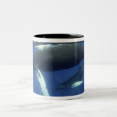 Caraïbisch gebied, Antillen archipel, Groot-Britta Tweekleurige Koffiemok (Center)