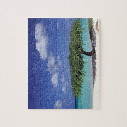 Caraïbisch gebied, Aruba. Eagle Beach Legpuzzel (Verticaal)