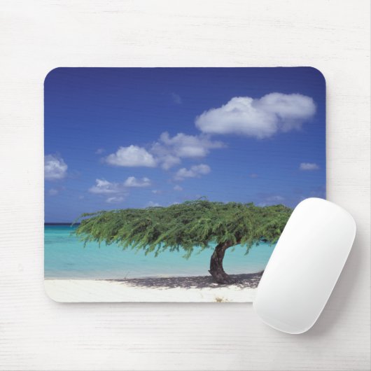 Caraïbisch gebied, Aruba. Eagle Beach Muismat (Met muis)