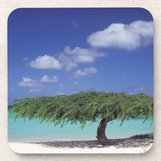 Caraïbisch gebied, Aruba. Eagle Beach Onderzetter (Voorkant)