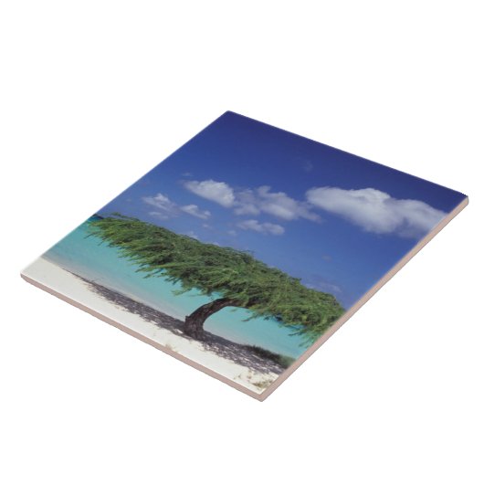 Caraïbisch gebied, Aruba. Eagle Beach Tegeltje (Zijkant)