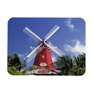 Caraïbisch gebied, Aruba. Old Mill, omgezet in 'M Magneet