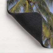 Caraïbisch gebied, Bahama's, Abaco, Elbow Cay. Hop Muismat (Hoek)